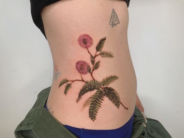tattoo femenino para la pelvis 12