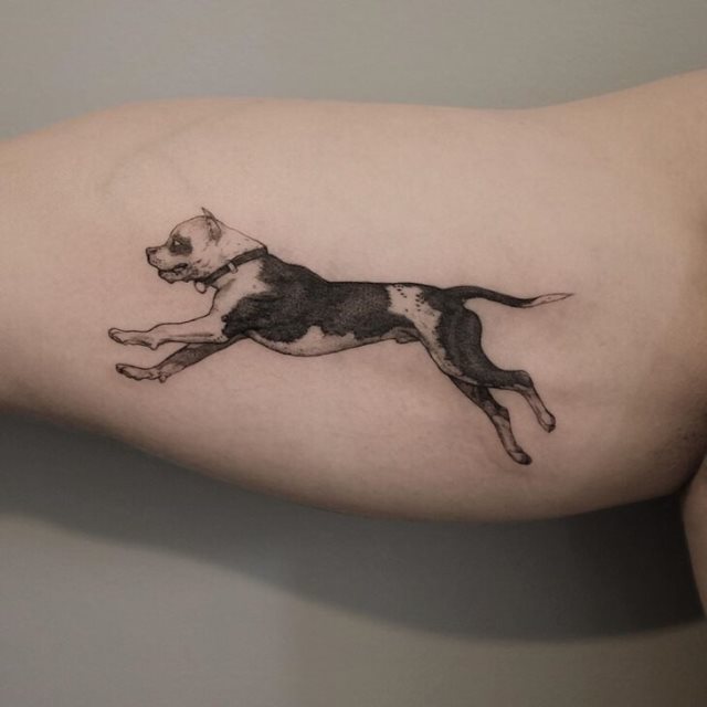 tattoo femenino perro 39