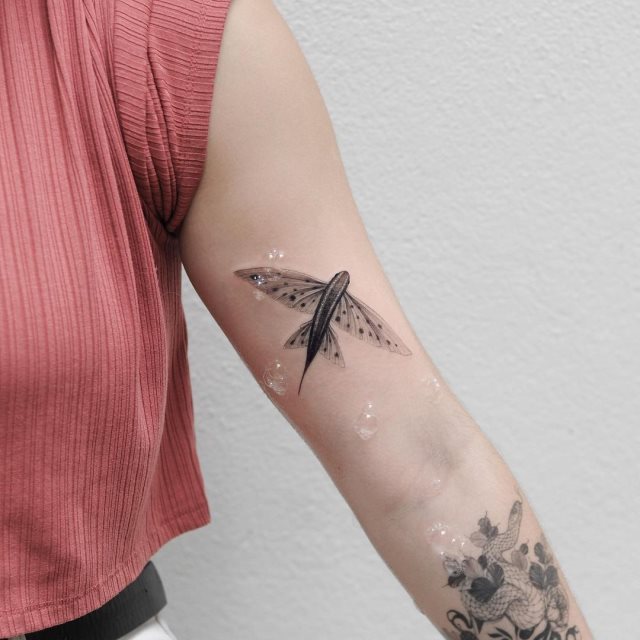 tattoo femenino pez 16