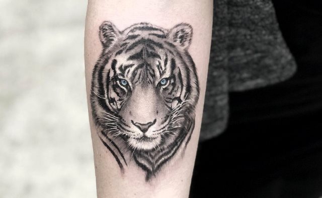 tattoo femenino tigre 08