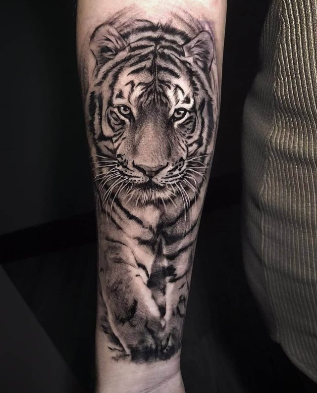 tattoo femenino tigre 33