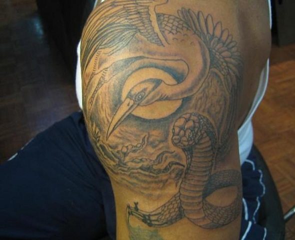 animales-tattoos-1