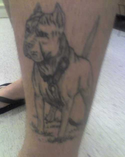 202 tatuaje perro