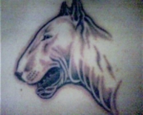 203 tatuaje perro