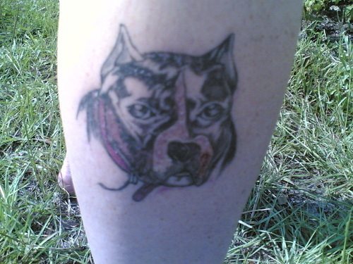 204 tatuaje perro