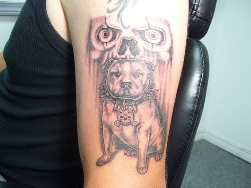 209 tatuaje perro