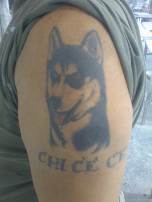 212 tatuaje perro