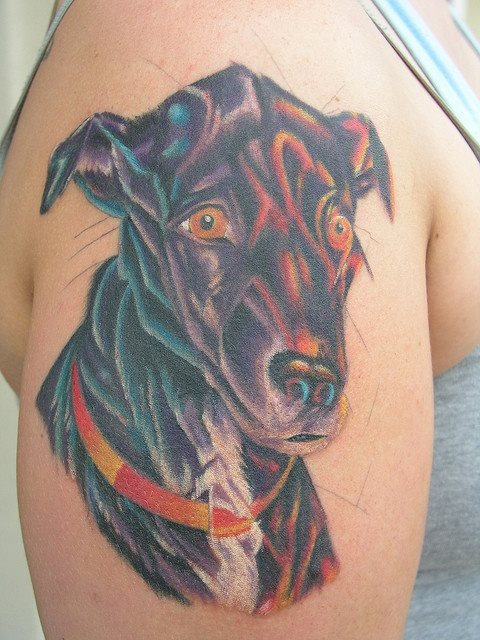 215 tatuaje perro