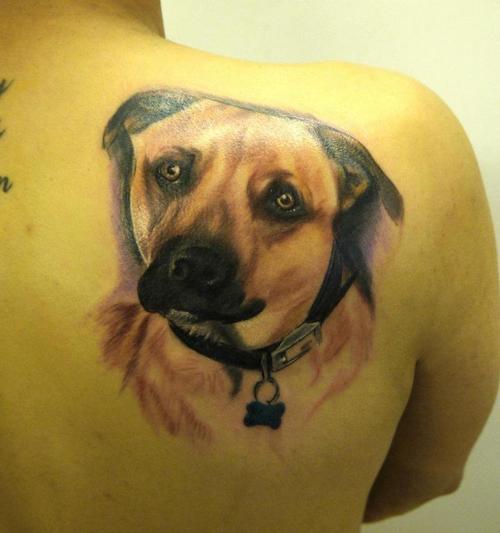 216 tatuaje perro