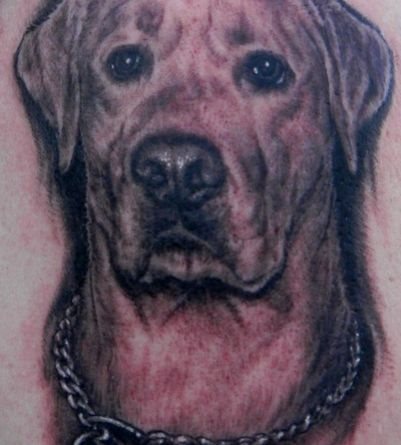 217 tatuaje perro