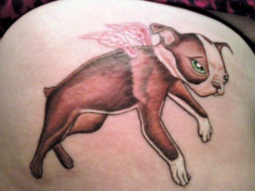 218 tatuaje perro