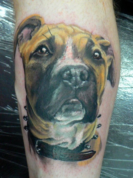 219 tatuaje perro