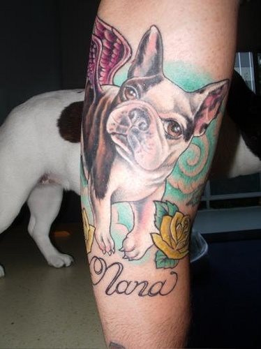 223 tatuaje perro