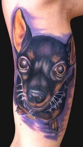 226 tatuaje perro