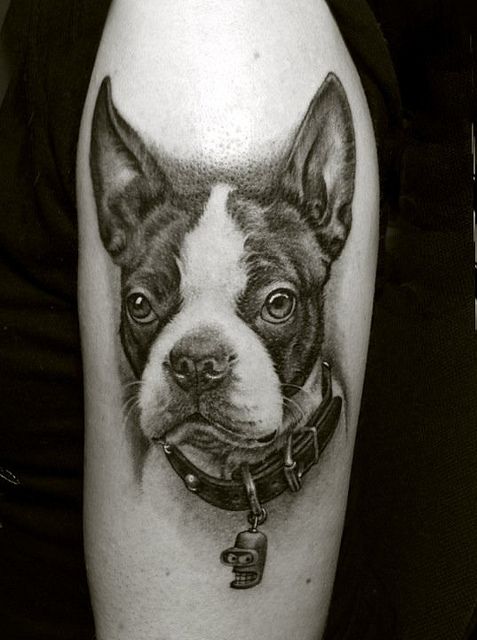 229 tatuaje perro
