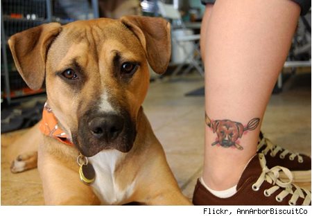 233 tatuaje perro