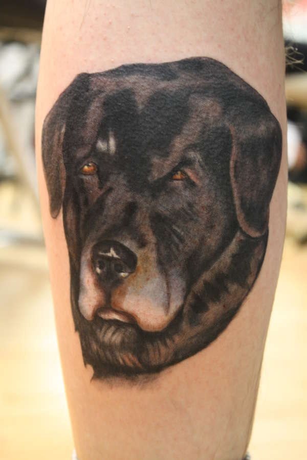 235 tatuaje perro