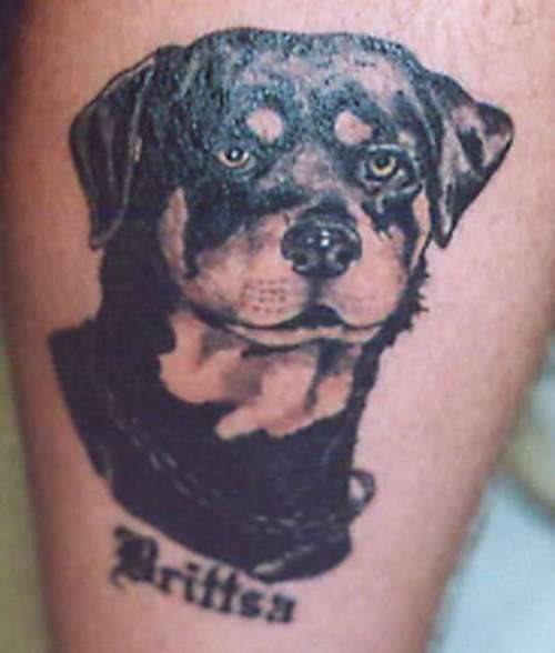 239 tatuaje perro