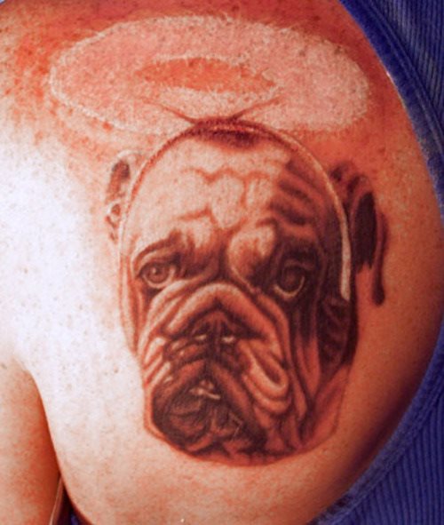 240 tatuaje perro