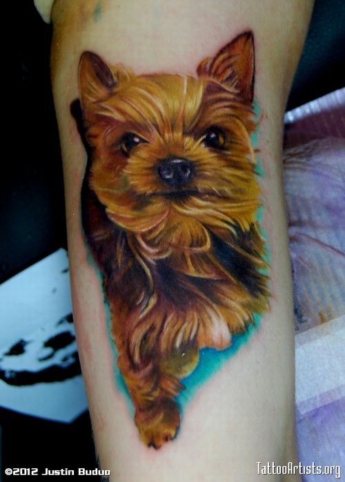 241 tatuaje perro