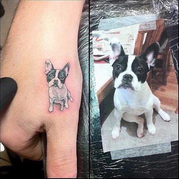 247 tatuaje perro