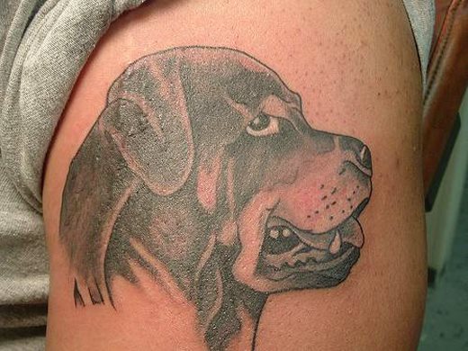 249 tatuaje perro