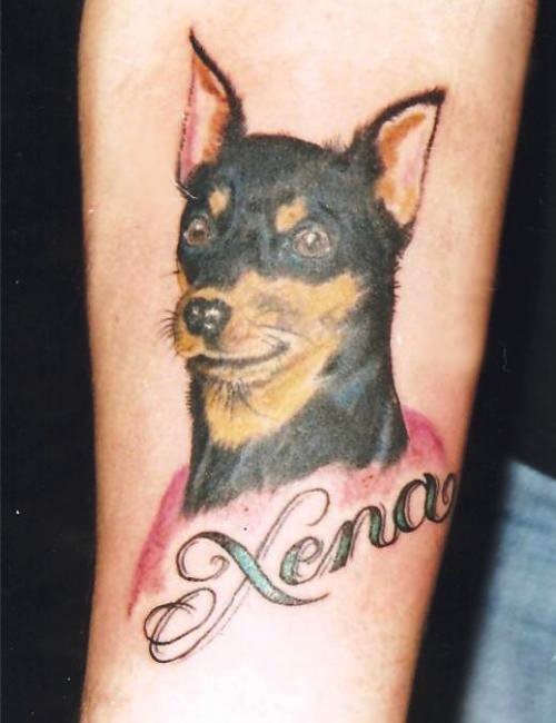 250 tatuaje perro