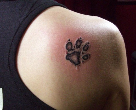 252 tatuaje perro