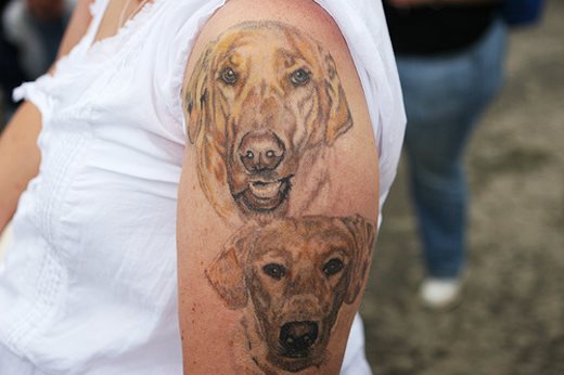 256 tatuaje perro