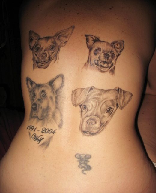 257 tatuaje perro