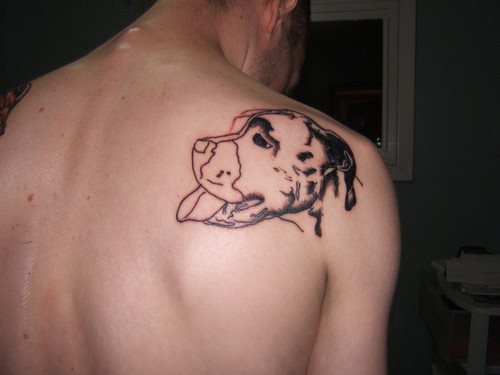 263 tatuaje perro