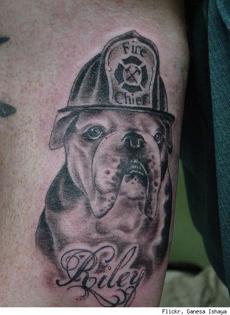tatuaje perro 47