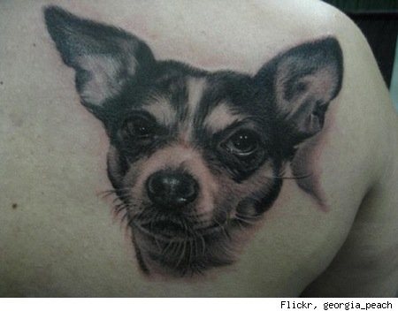 tatuaje perro 49