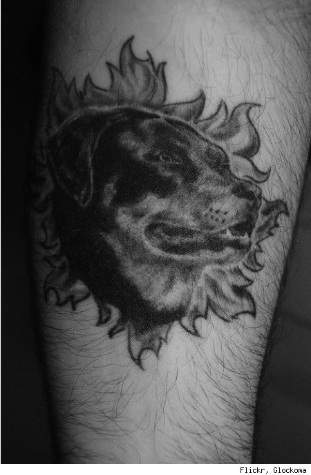tatuaje perro 50