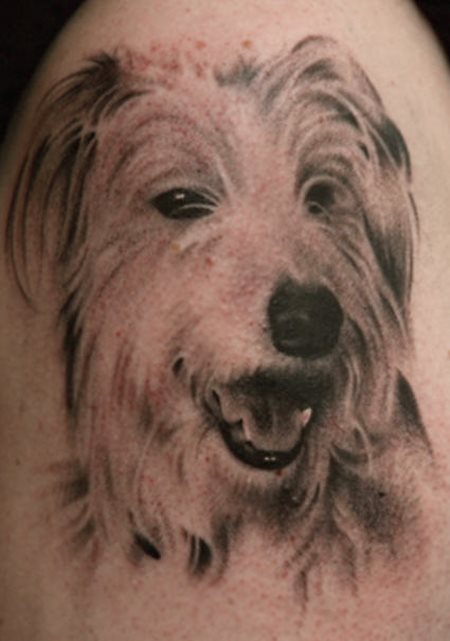 tatuaje perro 51