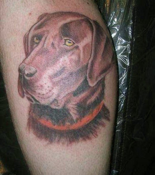 tatuaje perro 52