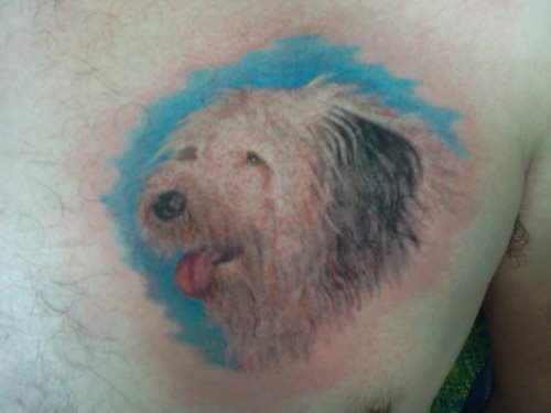 tatuaje perro 53