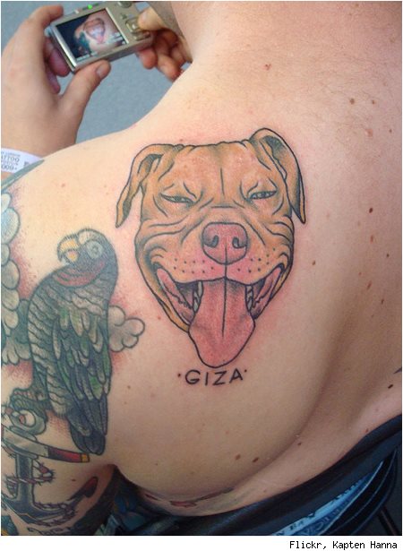 tatuaje perro 62
