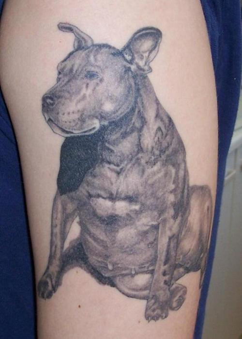 tatuaje perro 65