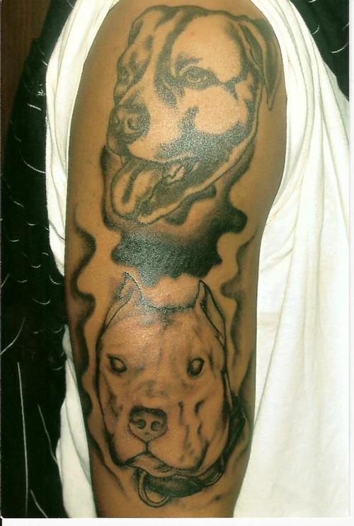 tatuaje perro 66