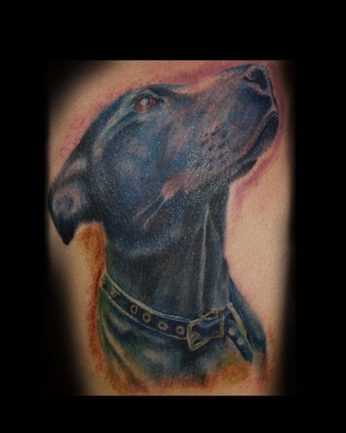 tatuaje perro 75