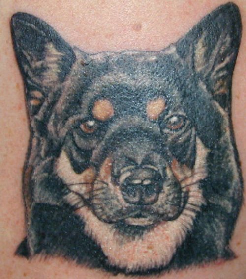 tatuaje perro 80