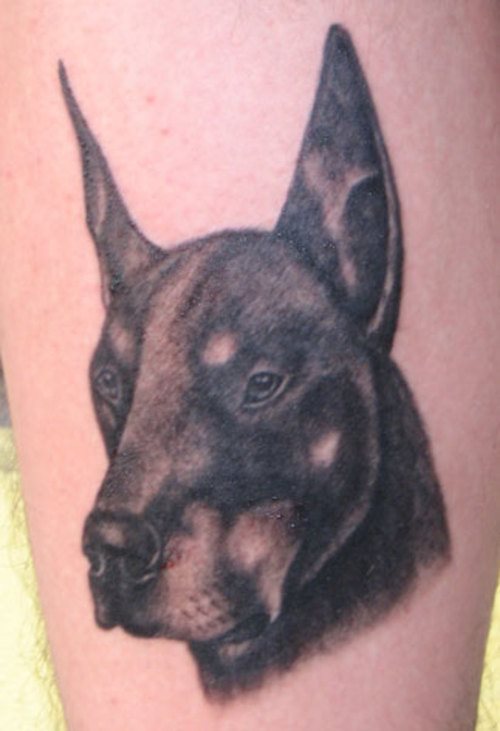 tatuaje perro 81