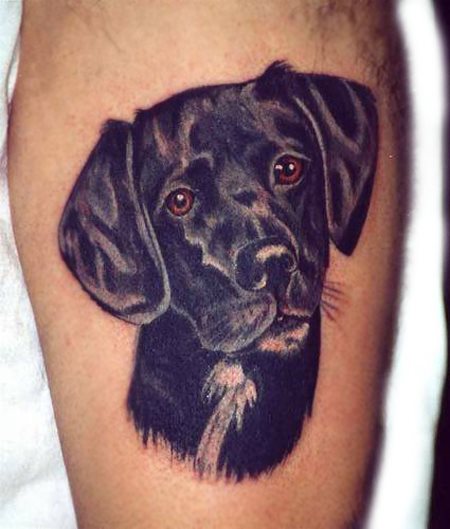 tatuaje perro 88