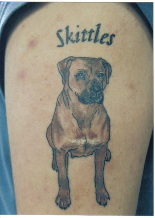 tatuaje perro 91