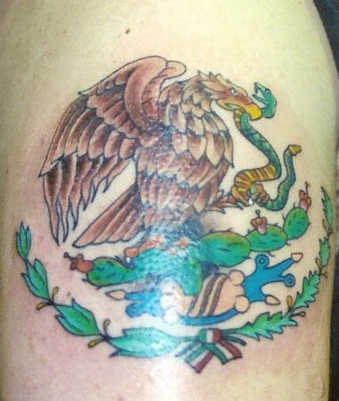 Águila con una serpiente y con varios motivos de colores que le dan cohesión al diseño.