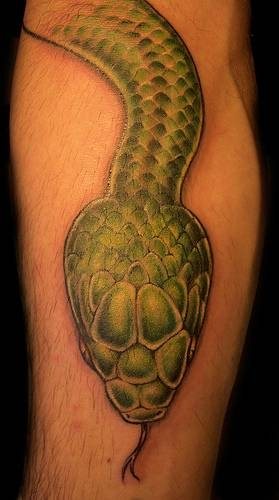tatuaje reptil 1072