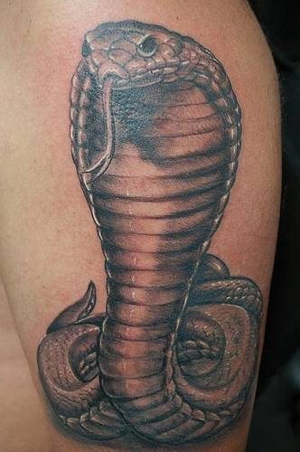 tatuaje reptil 1073