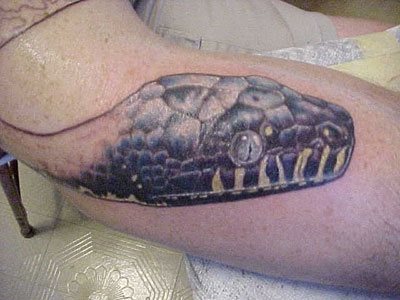 tatuaje reptil 1013