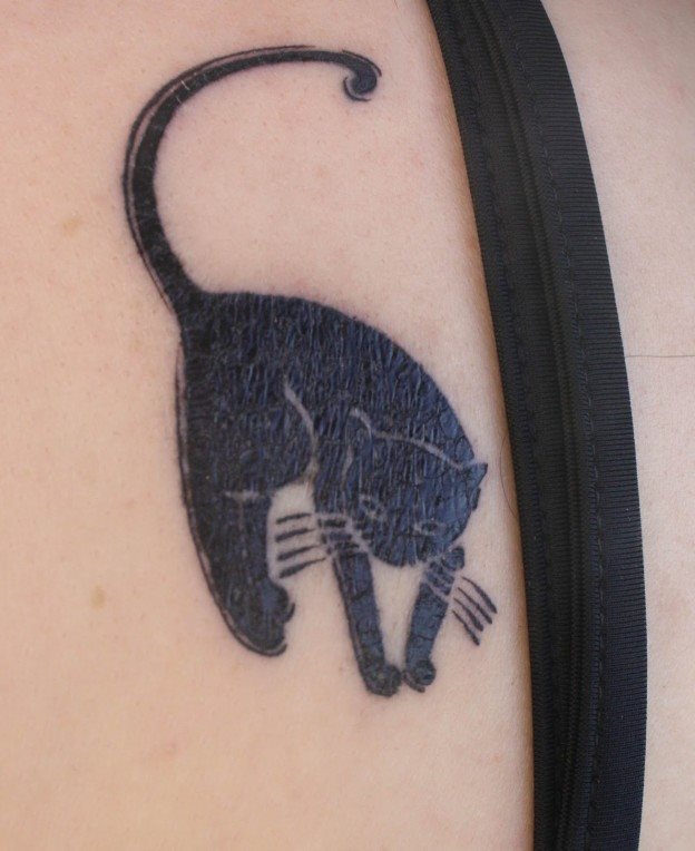 tatuaje gato 14